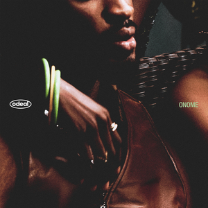 国产高清无码在线a片
