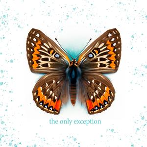 free性厨房D奶BBMD
