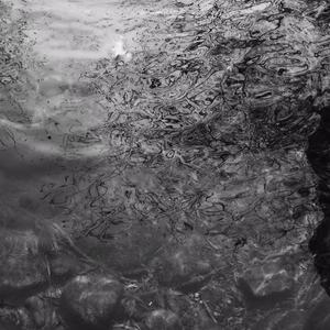 妙龄少女开网钻官方正版下载沈
