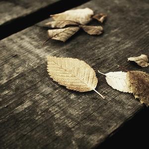 做爱高潮动态图
