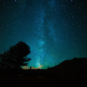 久久精品一区二区三区四区无码
