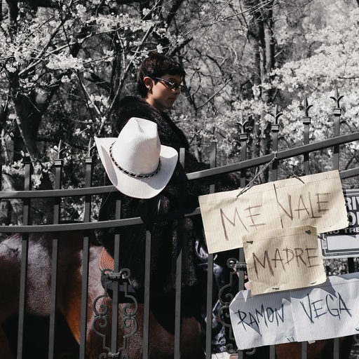 香蕉精品免费看
