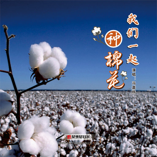 韩国电影办公室秘书
